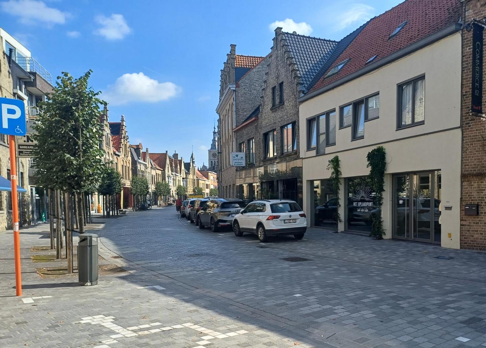 Villa Het Oplaadpunt: Bed, Bike, Hike, 8-12 P. Diksmuide Esterno foto